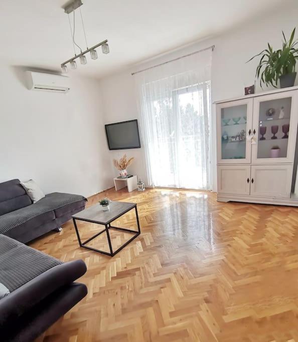 Apartman Pejic بودْسْتغانا المظهر الخارجي الصورة
