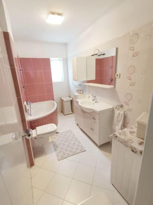 Apartman Pejic بودْسْتغانا المظهر الخارجي الصورة